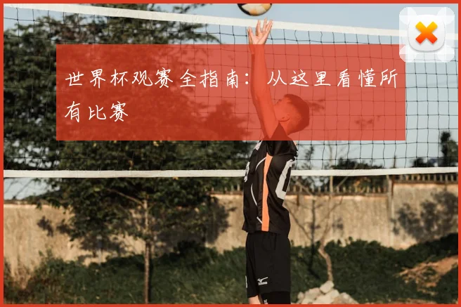 世界杯观赛全指南：从这里看懂所有比赛