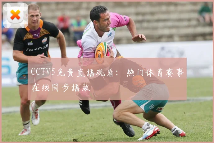 CCTV5免费直播观看：热门体育赛事在线同步播放