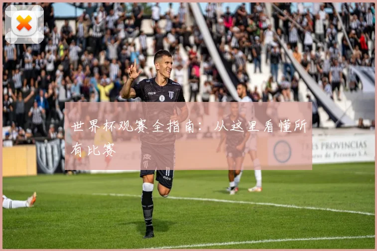 世界杯观赛全指南：从这里看懂所有比赛